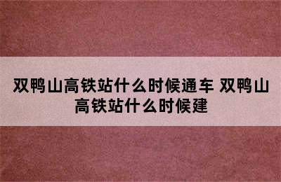 双鸭山高铁站什么时候通车 双鸭山高铁站什么时候建